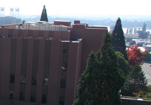 The Process of Reporting a Crime in Clark County, Washington